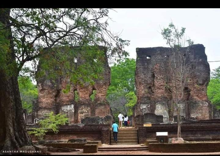 Arani Homestay Polonnaruwa Eksteriør billede