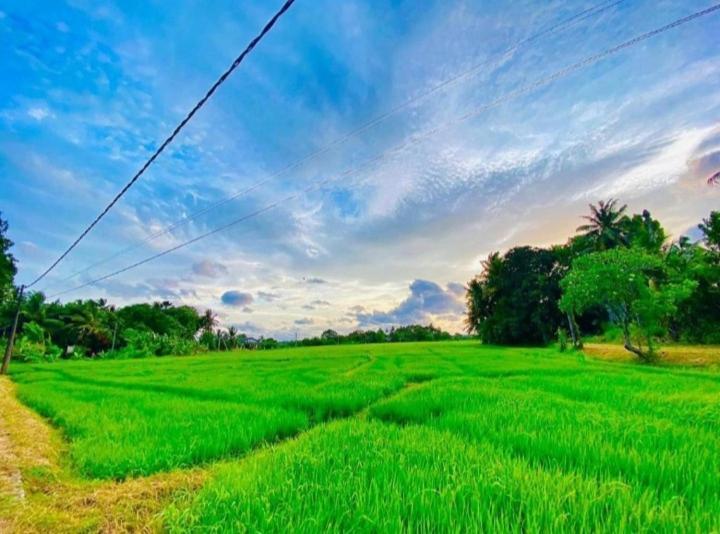 Arani Homestay Polonnaruwa Eksteriør billede